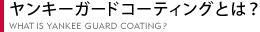 L[K[hR[eBOƂ́H